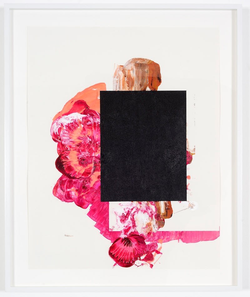 Elizabeth Neel The Grounds2011 Acrylic on Paper 61 x 48.3 cm