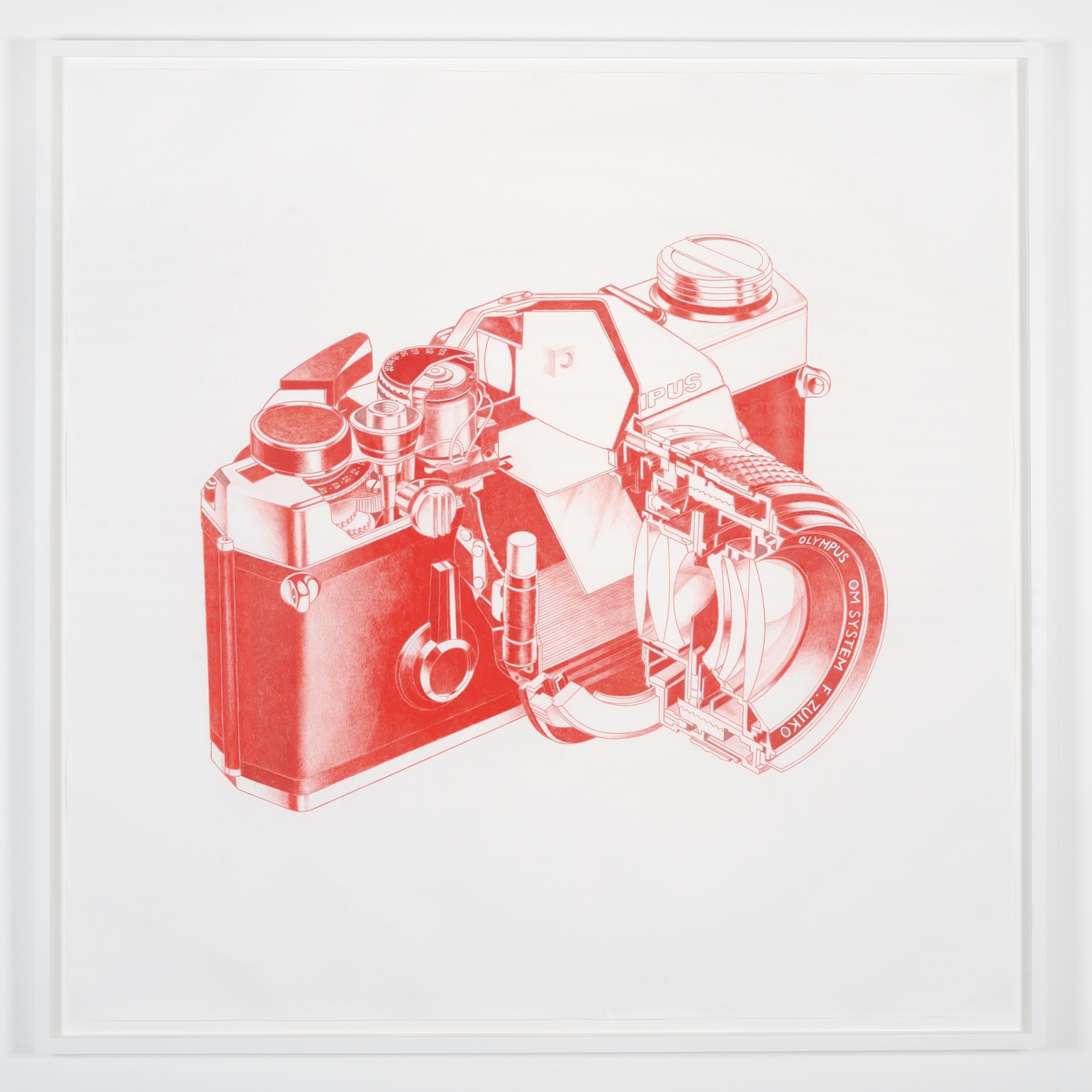 Keren Cytter Olympus2009 graphite on paper 150 x 150 cm