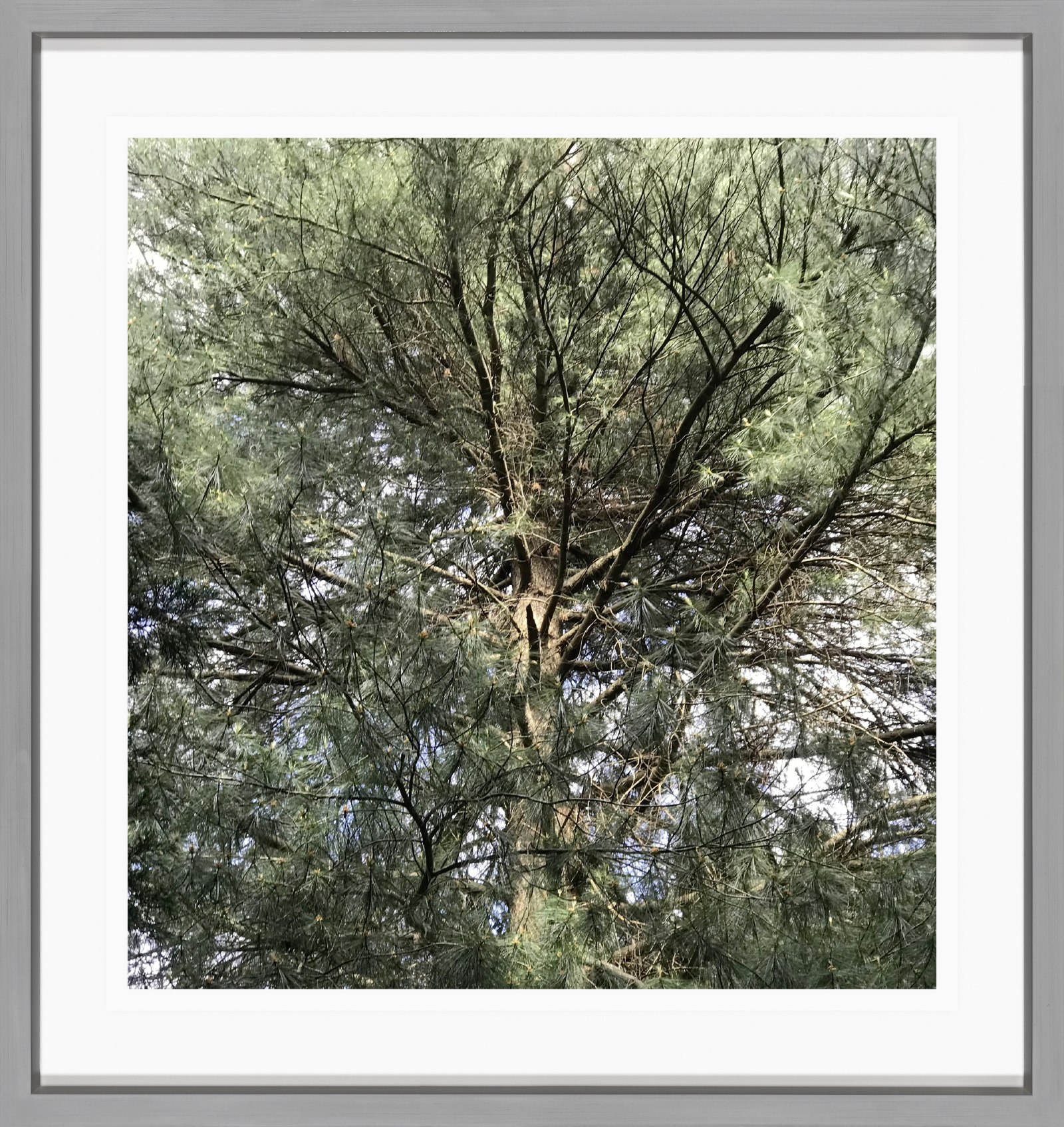 Sabine Moritz 06/06/20202020 Colour Photograph on paper 21 x 20 cm 8 1/4 x 7 7/8 in