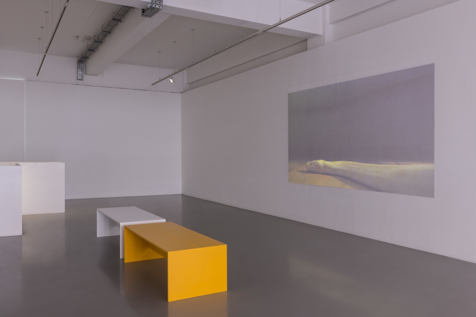 Keren Cytter: Killing Time Machine, Pilar Corrias, London, 22 June - 4 August, 2018