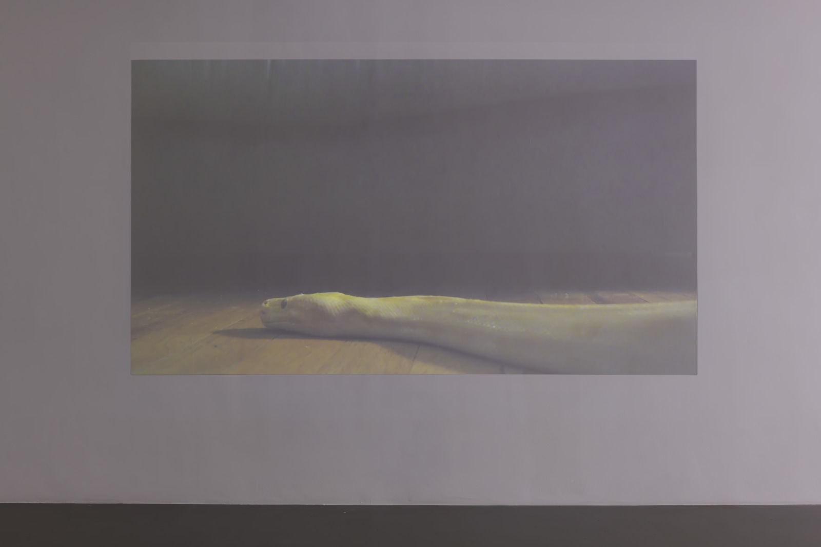 Keren Cytter: Killing Time Machine, Pilar Corrias, London, 22 June - 4 August, 2018