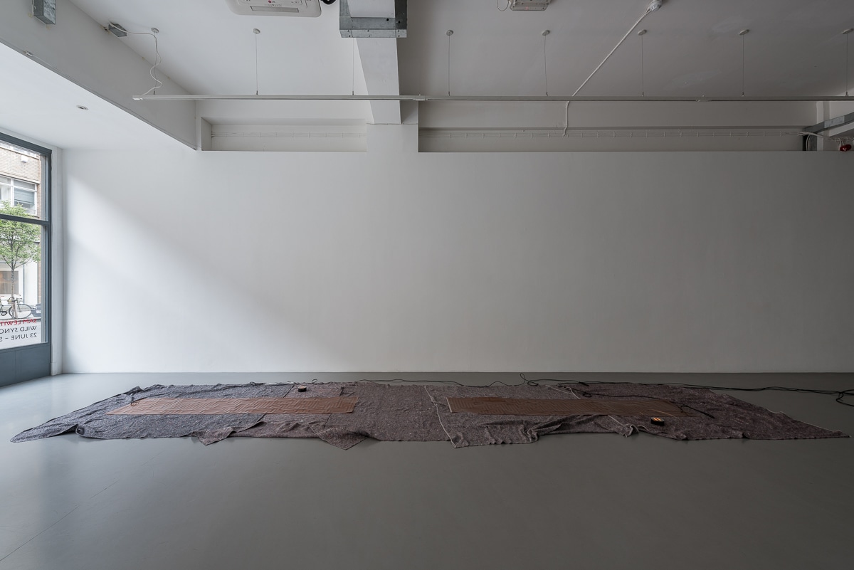 Sam Lewitt and Lucy Raven: Wild Sync & Weak Locals, Pilar Corrias, London, 25 June - 5 August 2016