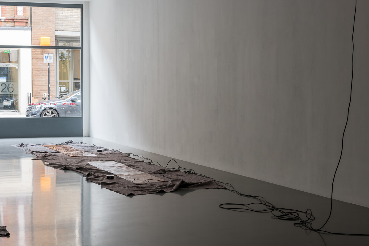 Sam Lewitt and Lucy Raven: Wild Sync & Weak Locals, Pilar Corrias, London, 25 June - 5 August 2016