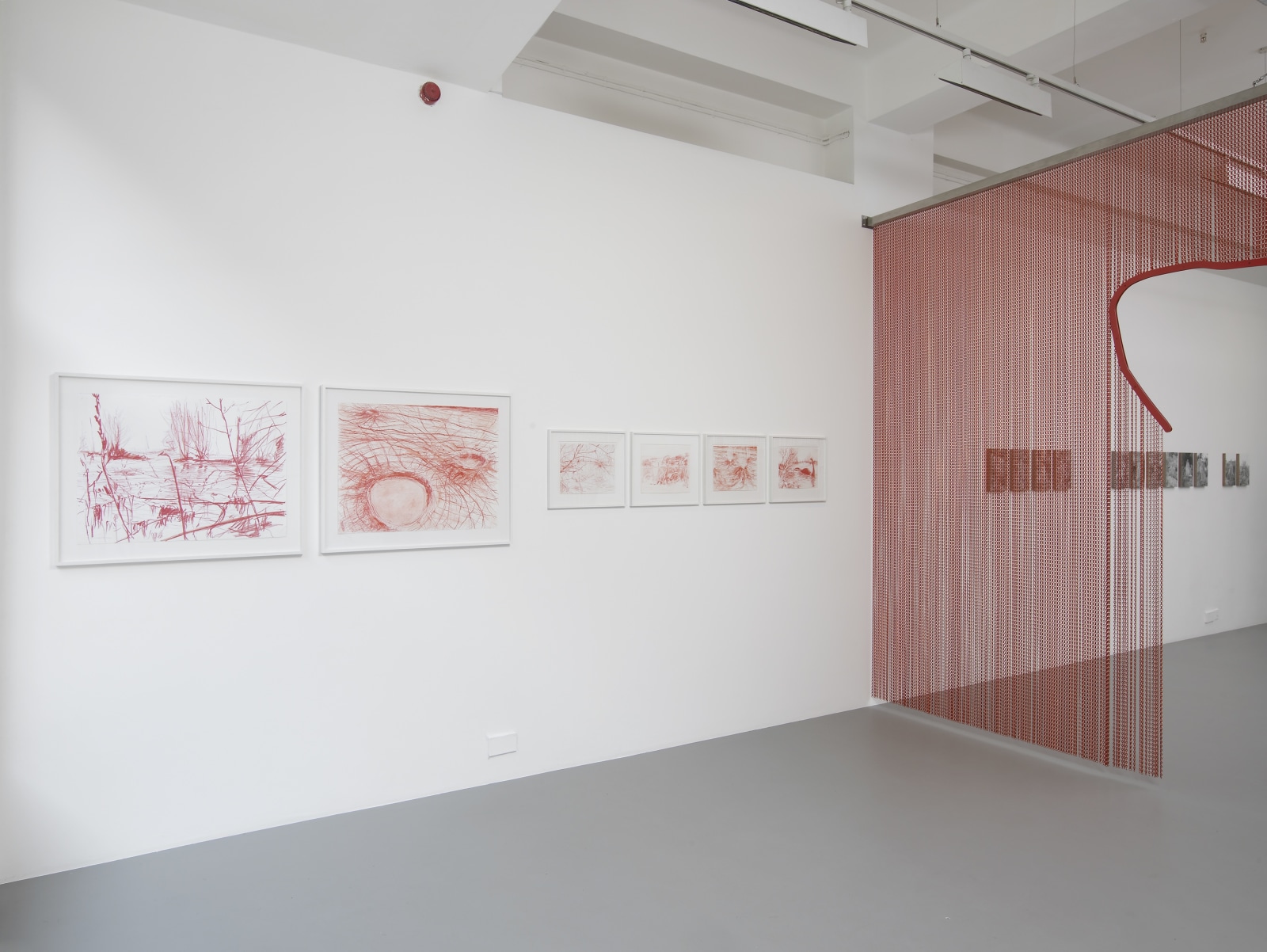 TopoDendroPhilia, Pilar Corrias, London, 5 July - 2 August, 2013