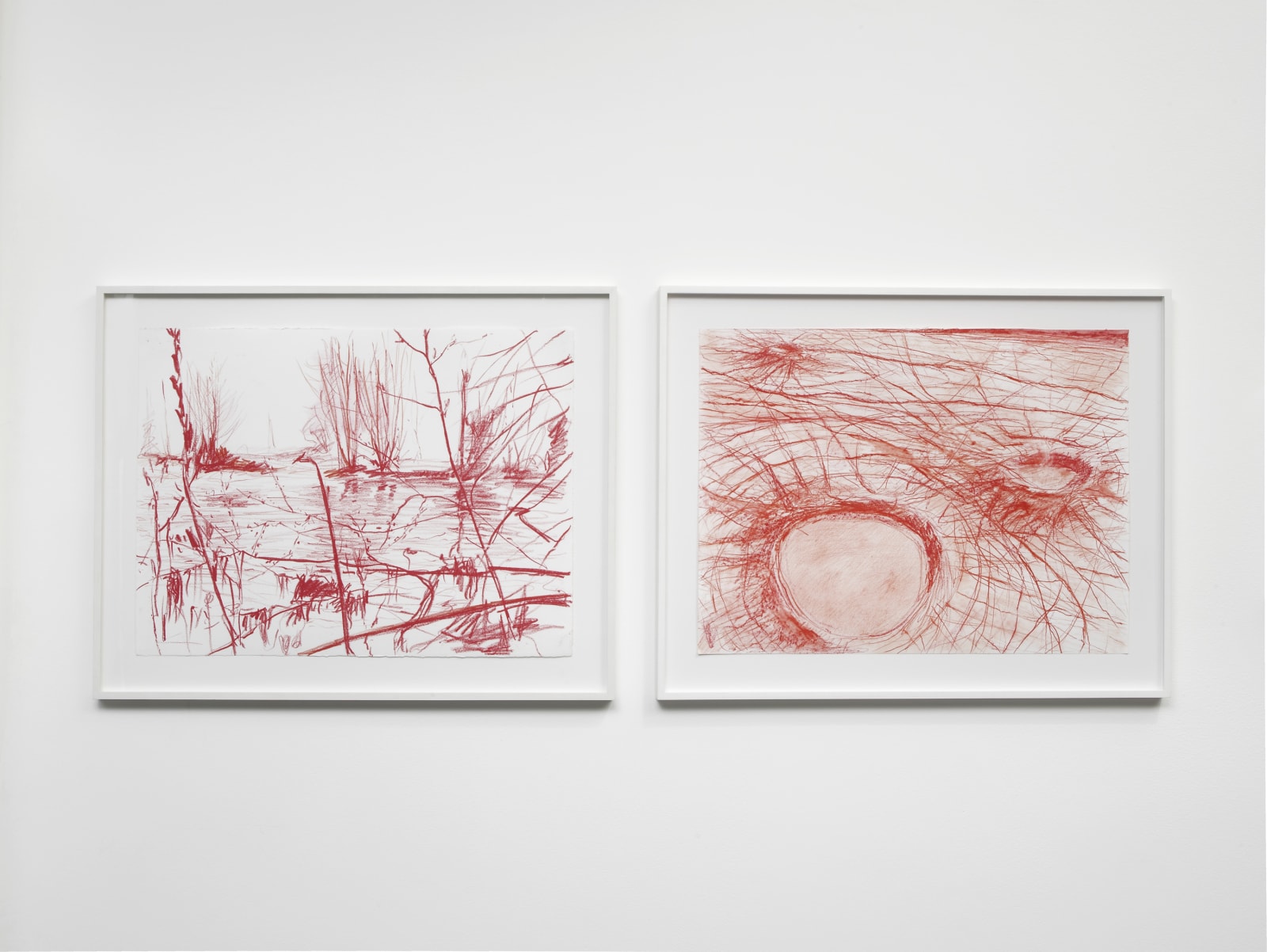 TopoDendroPhilia, Pilar Corrias, London, 5 July - 2 August, 2013