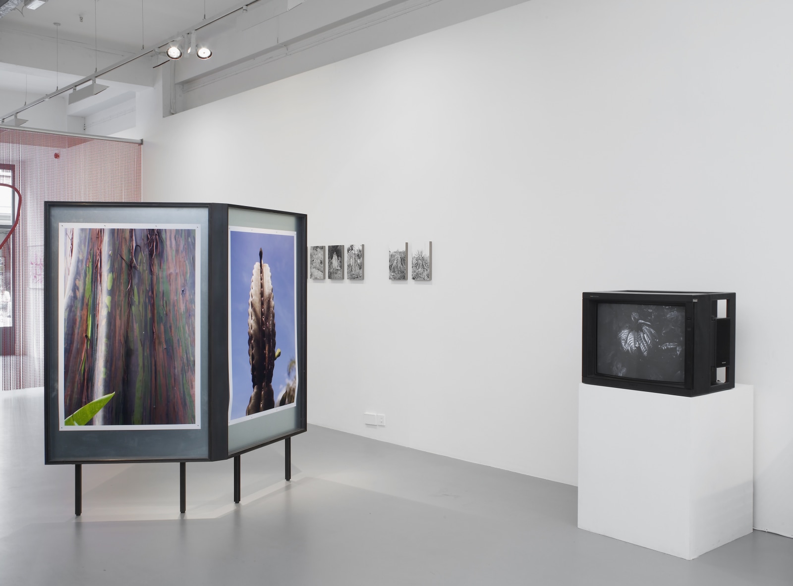 TopoDendroPhilia, Pilar Corrias, London, 5 July - 2 August, 2013