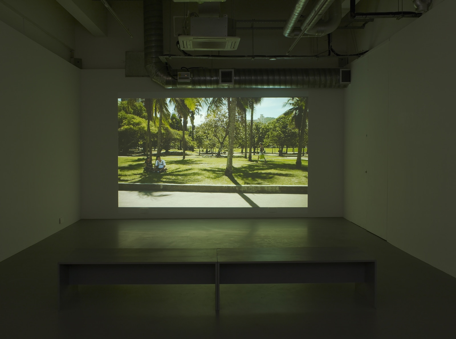 TopoDendroPhilia, Pilar Corrias, London, 5 July - 2 August, 2013