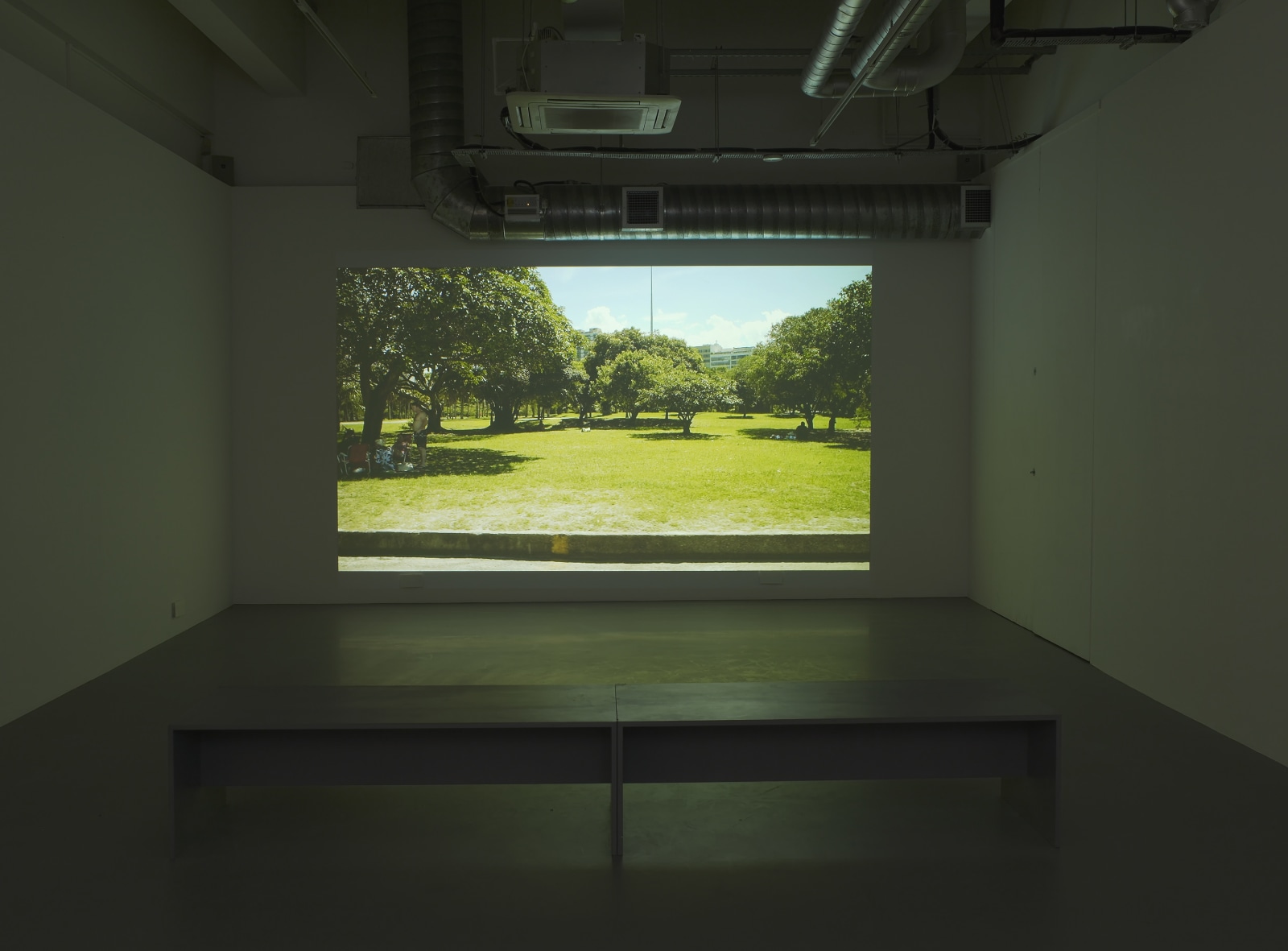 TopoDendroPhilia, Pilar Corrias, London, 5 July - 2 August, 2013