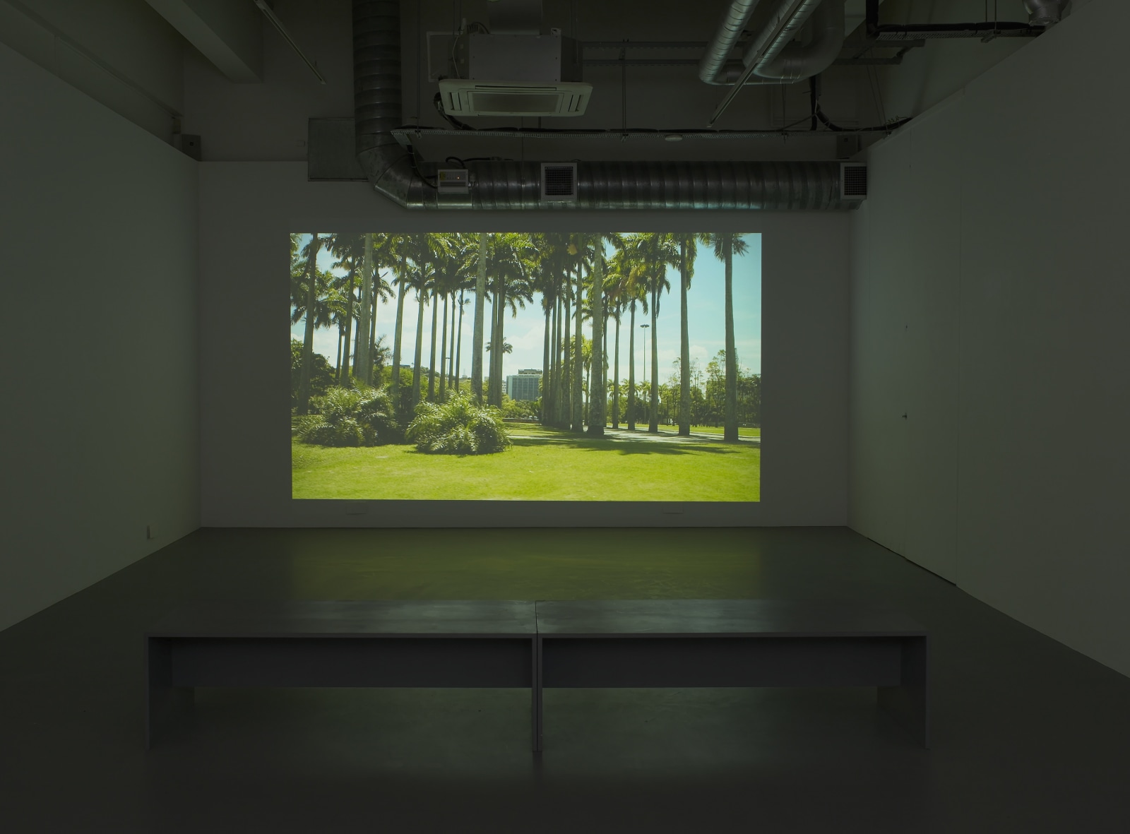 TopoDendroPhilia, Pilar Corrias, London, 5 July - 2 August, 2013