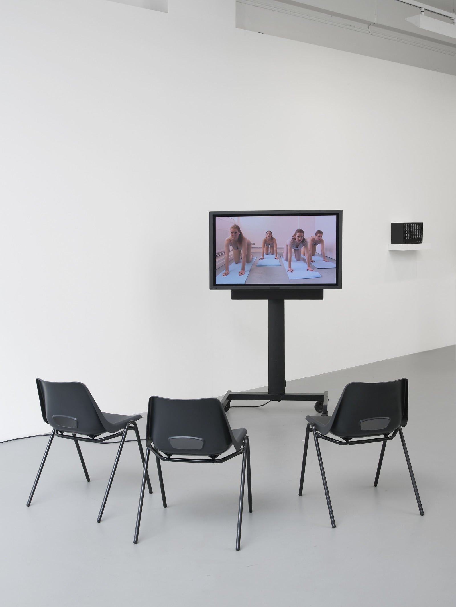 Coded Conduct, Pilar Corrias, London, 12 April - 10 May 2013