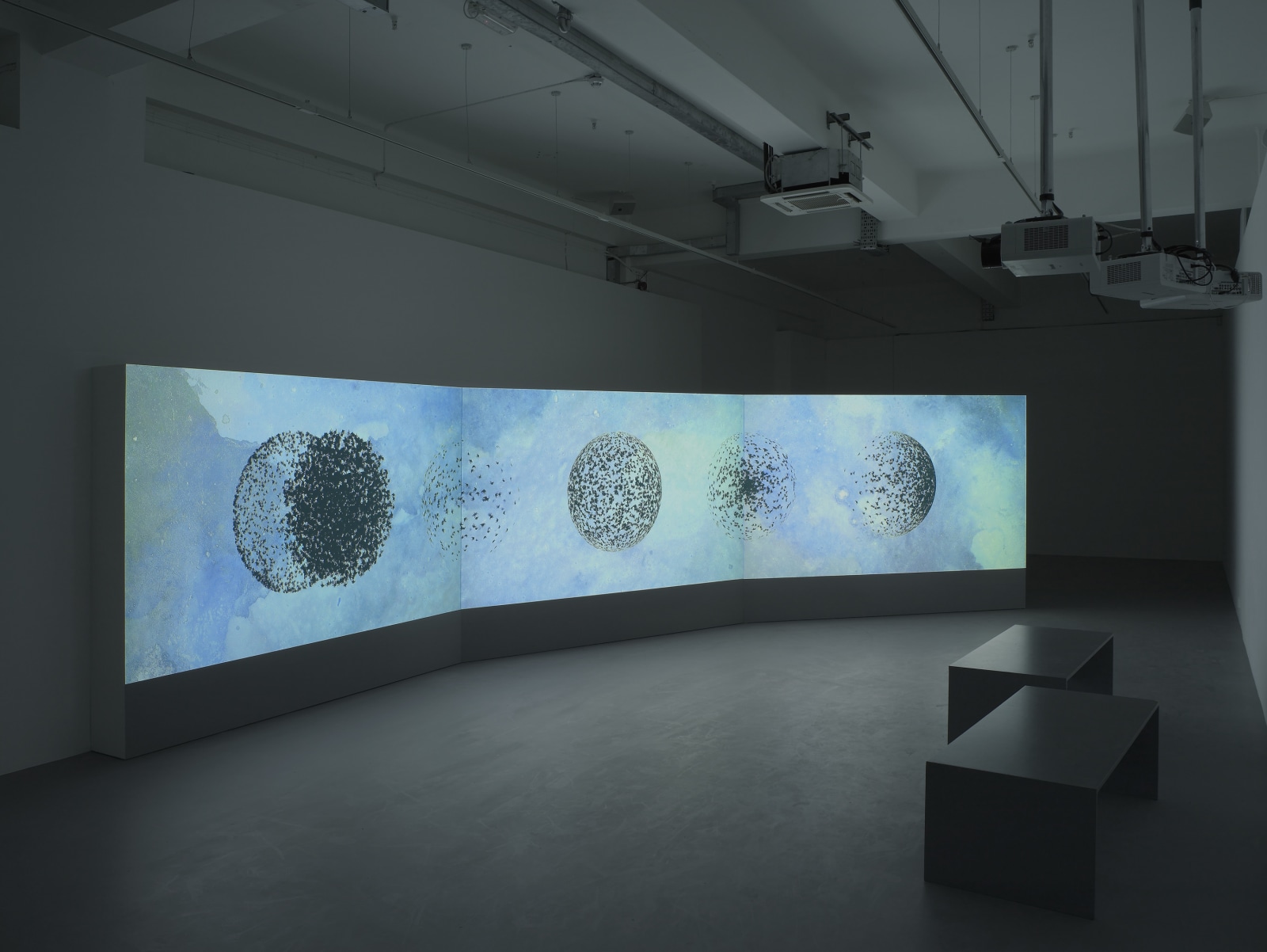 Shahzia Sikander: Parallax, Pilar Corrias, London, 22 February - 28 March 2013