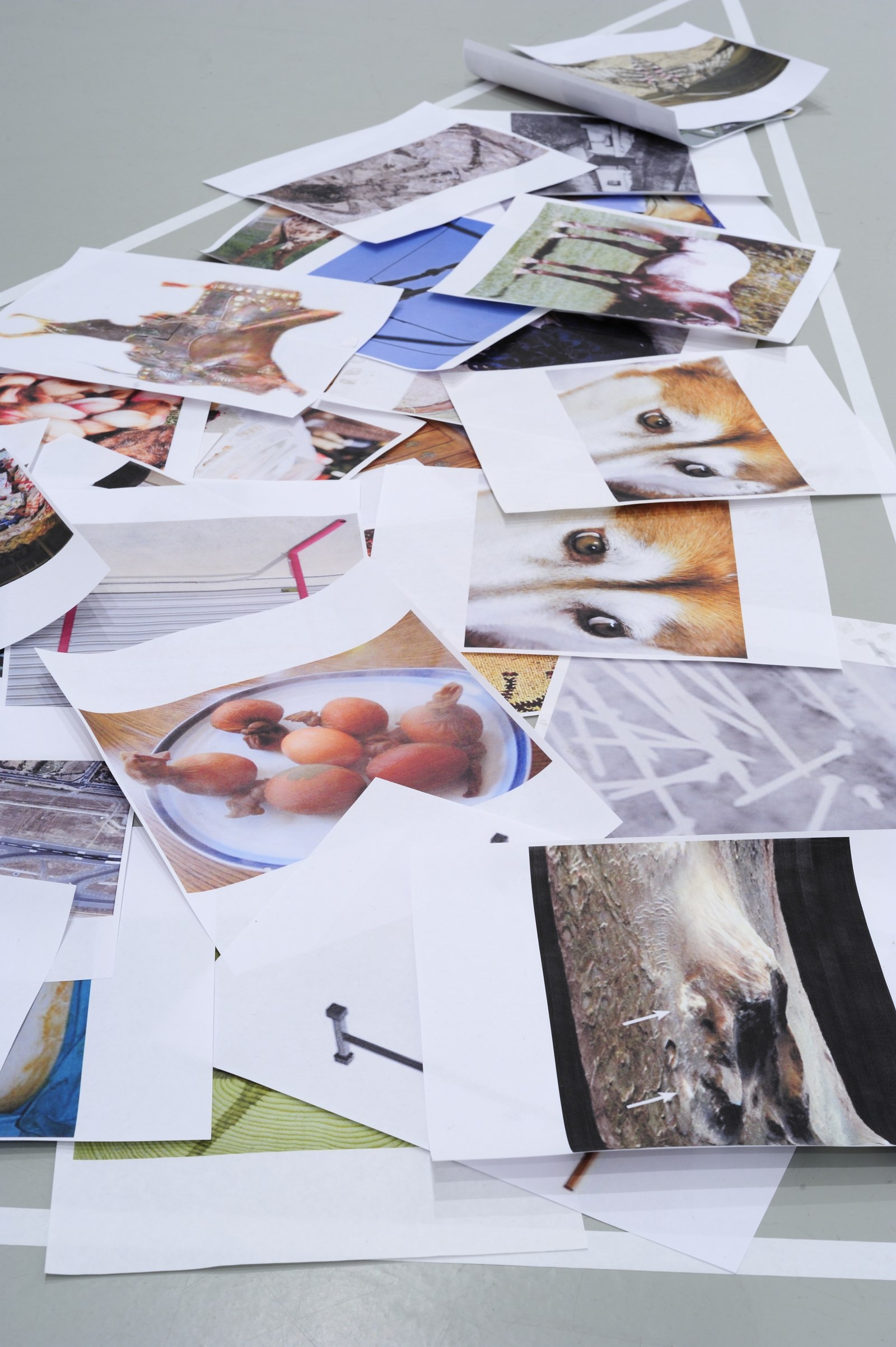 Elizabeth Neel: Sphinx Ditch, Pilar Corrias, London, 9 September - 7 October 2011