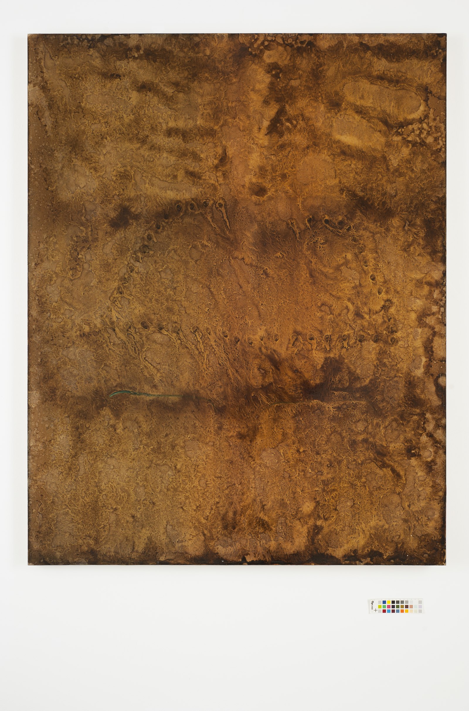 Group Exhibition, Pilar Corrias, London, 8 July - 5 August 2011