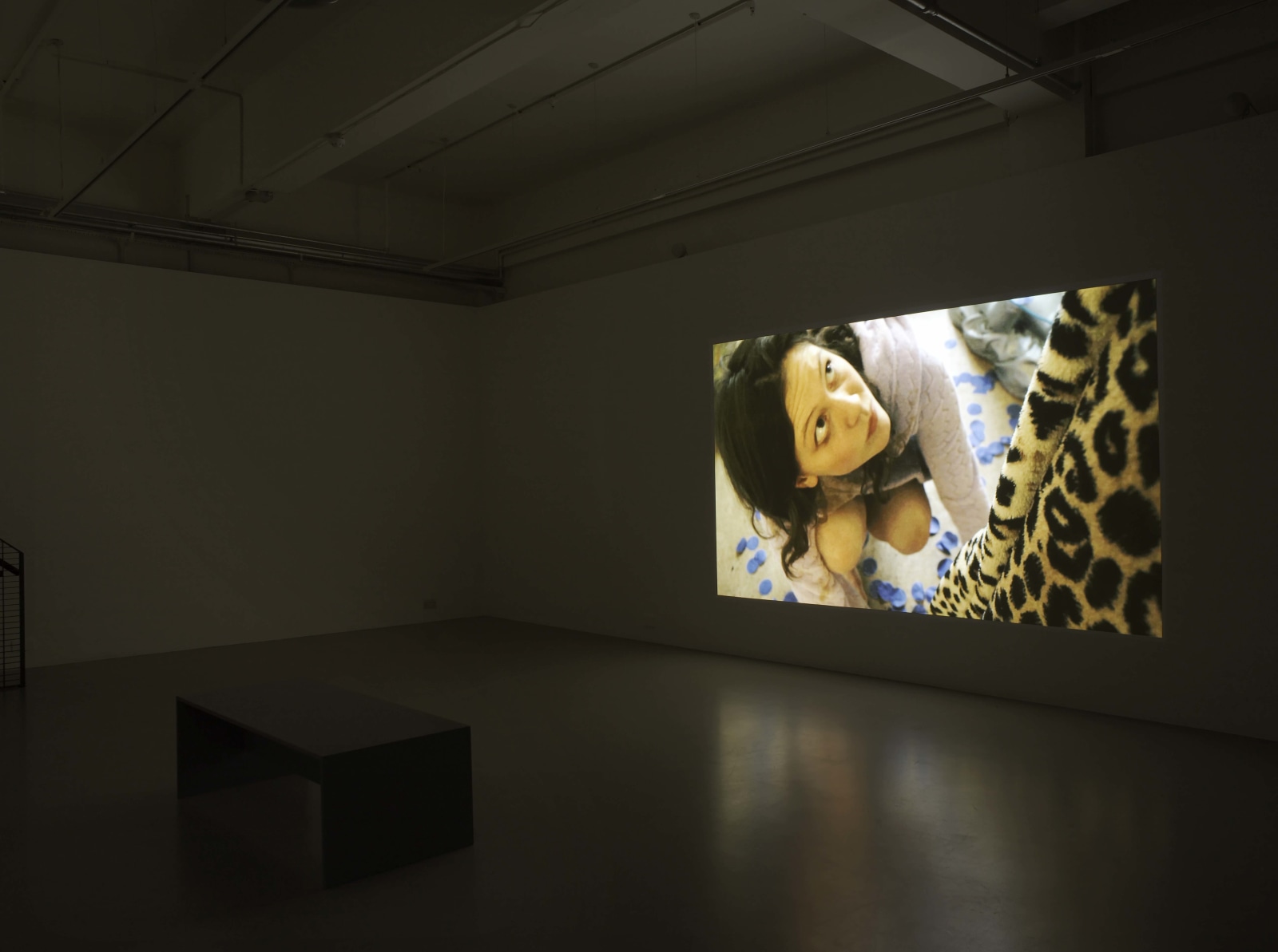 Keren Cytter: Avalanche, Pilar Corrias, London, 10 January - 10 February 2011