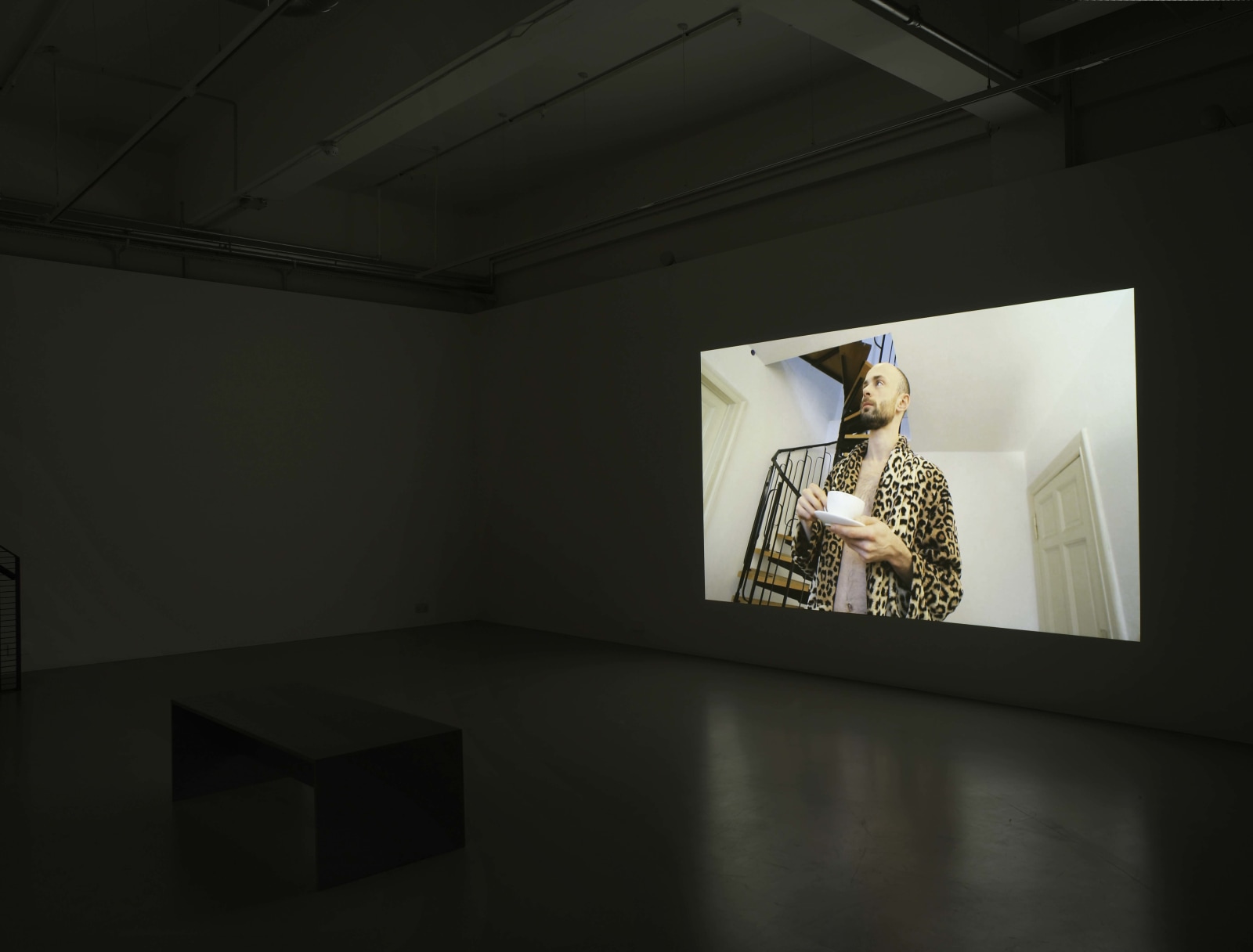 Keren Cytter: Avalanche, Pilar Corrias, London, 10 January - 10 February 2011