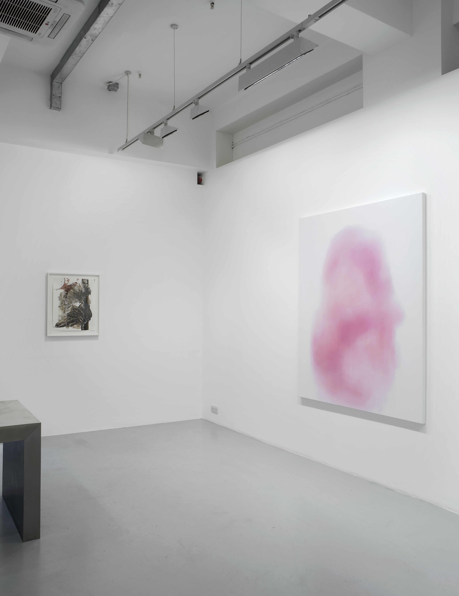 Purity is a Myth, Pilar Corrias, London, 11 June - 27 August 2010