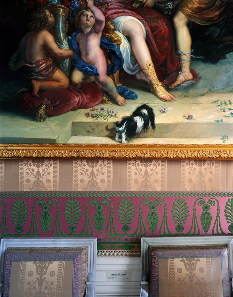 Robert Polidori Zéphyr et Flore, by Michel II Coreille, 1688. Salle de l’Empereur Trianon – R.d.C., 2008