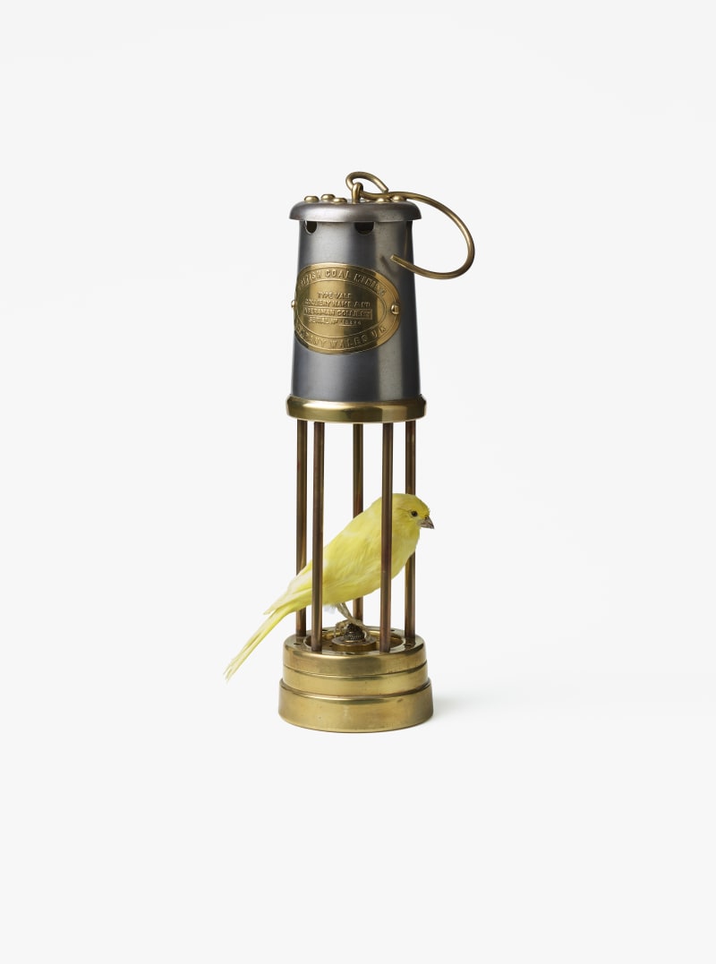 Nancy Fouts Miners Lamp 1