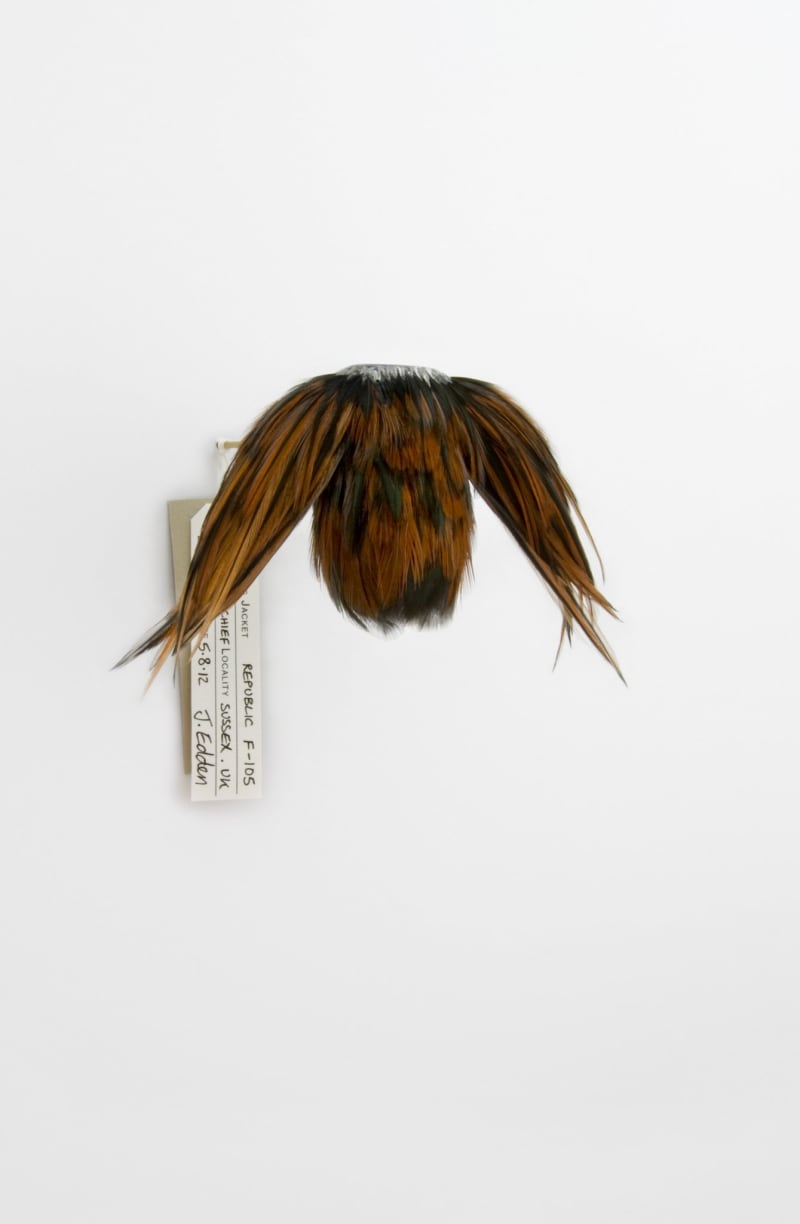 Jane Edden 19 Republic F-105 Thunderchief, 2012