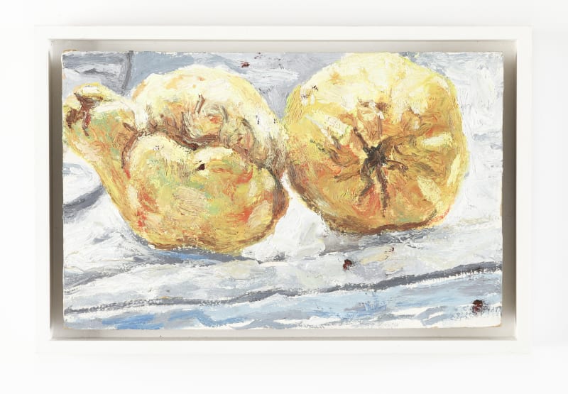 Susan Wilson Quinces in W10, 2017