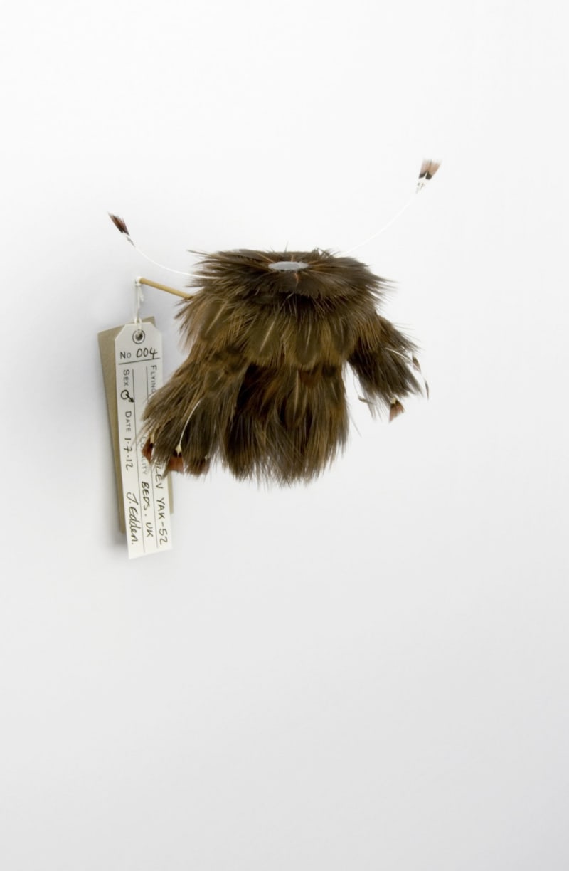 Jane Edden 04 Yakovlev Yak-52, 2012