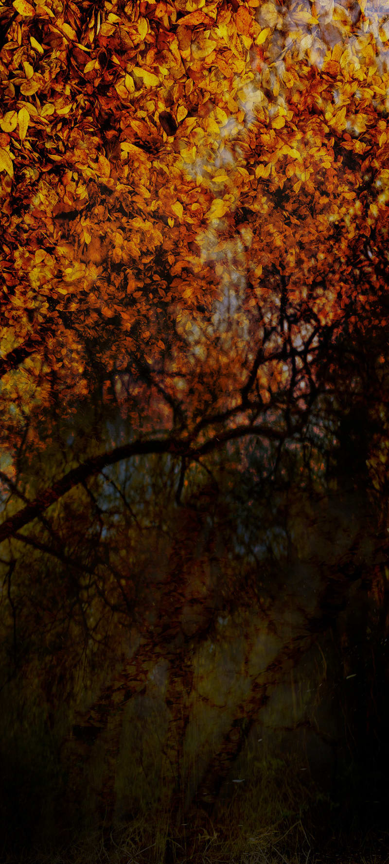 Nadav Kander Untitled XII (Chalk Quarry), England, 2015