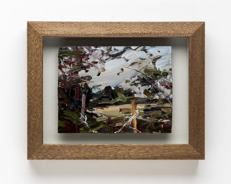 Kate Giles Snagged (Hedge Gap near Itteringham), 2021