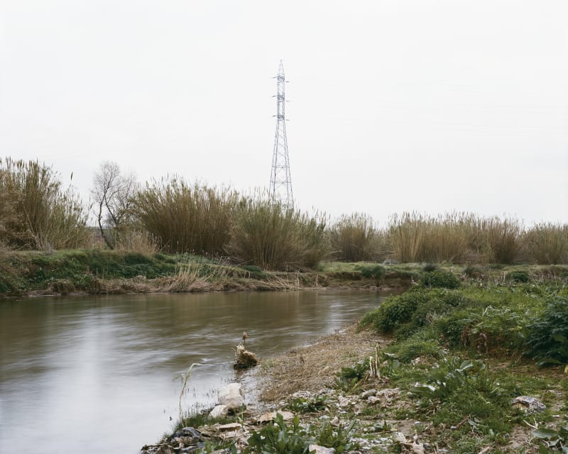 Janelle Lynch The Llobregat 2, 2008