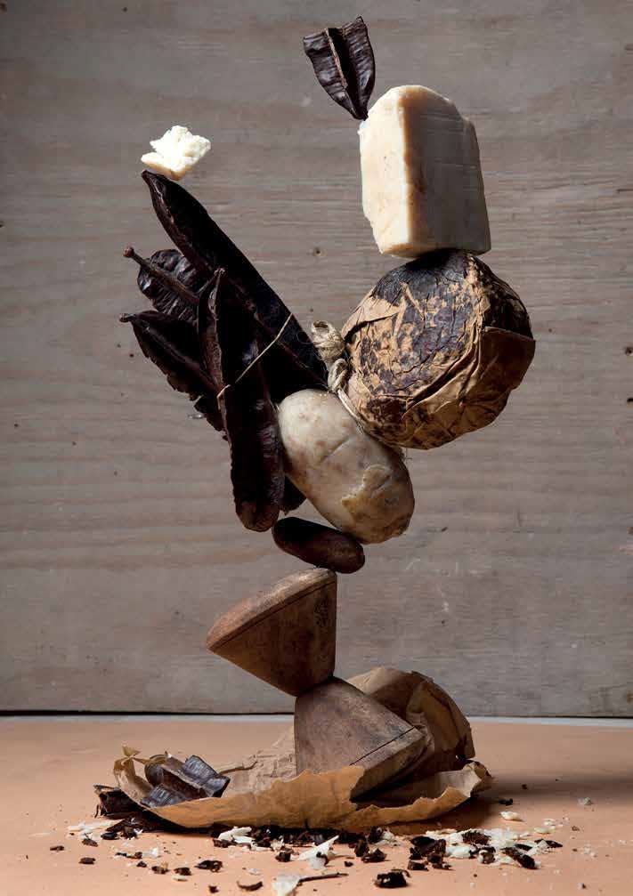 Lorenzo Vitturi, Soap, 2013