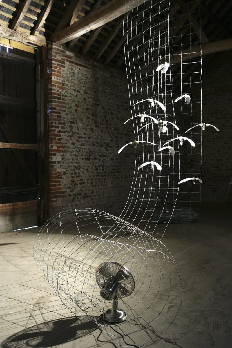 Jane Edden An Oscillation of Caz Wellers, 2007 - 2019