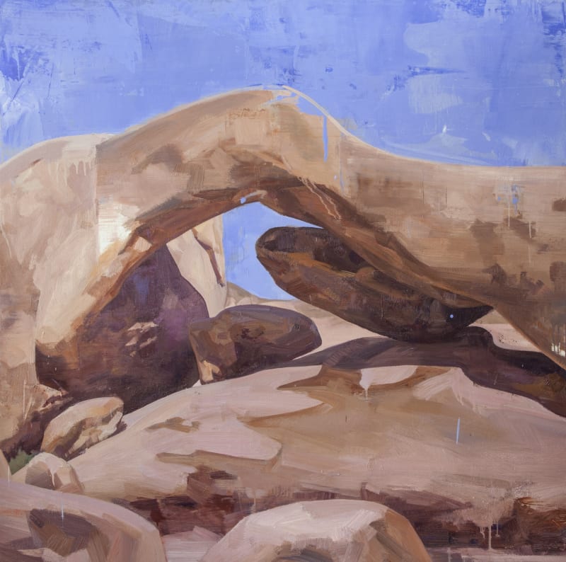 Tai Shan Schierenberg Joshua Tree, 2016