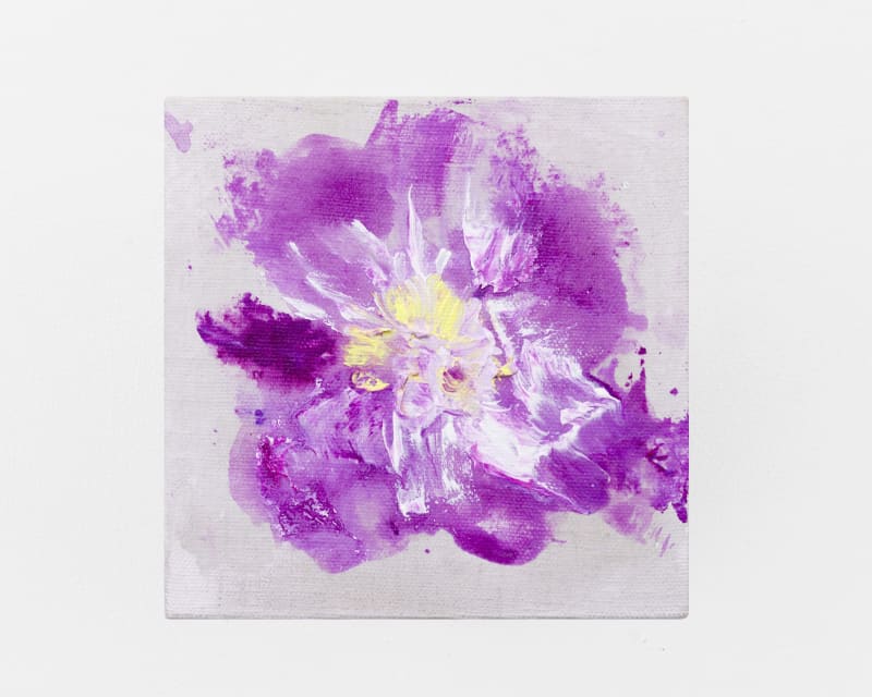 Bianca Raffaella Rose Rhapsody, 2025