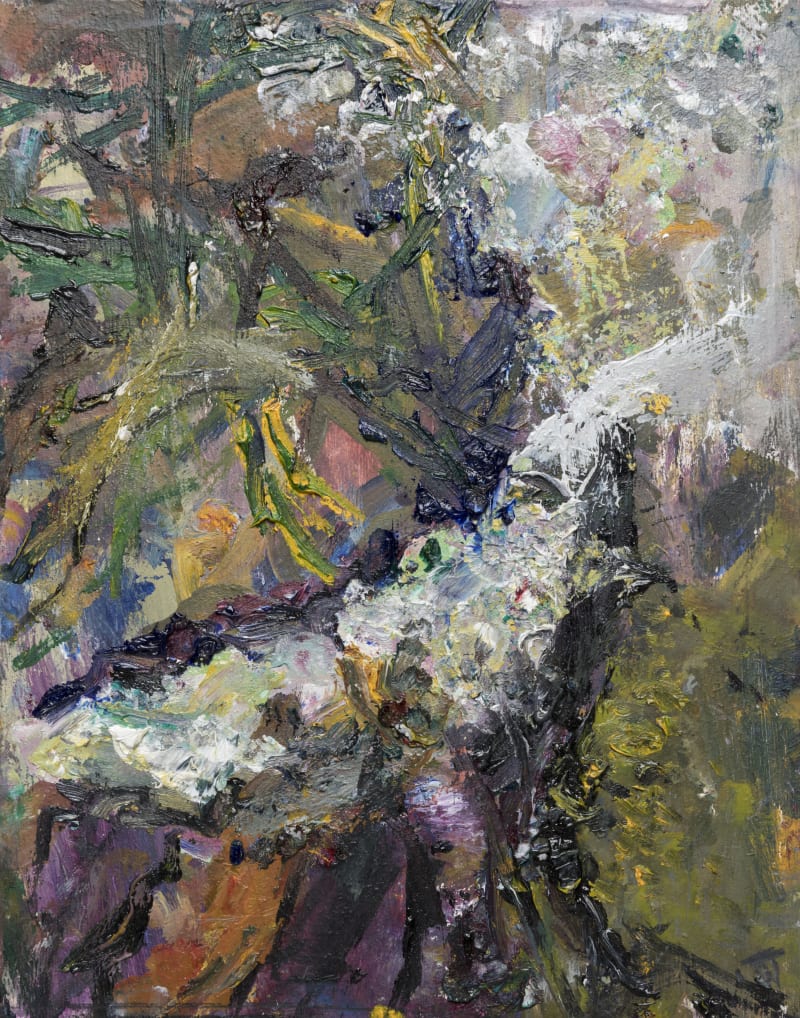 Janet Taylor Lichen I, 2017