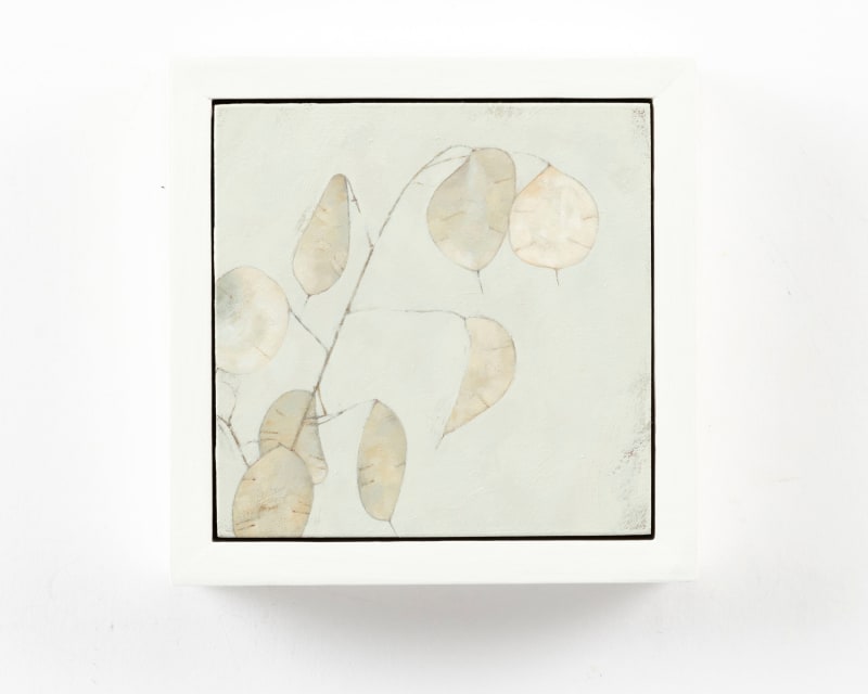 Rachel Sard Lunaria (Damascus) I, 2024