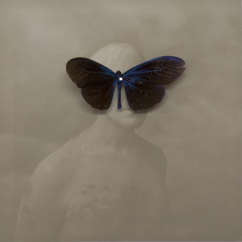 Bear Kirkpatrick Matthew, 2015