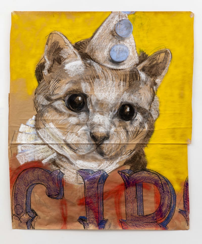 Nicola Hicks Cat with Ruff, 2020