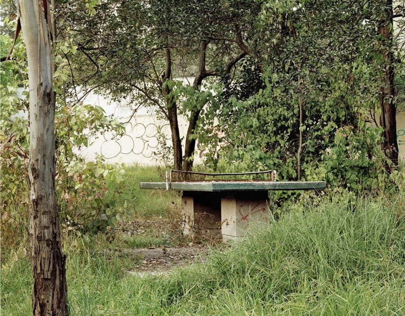 Janelle Lynch Untitled 5 (El Jardin de Juegos), 2003