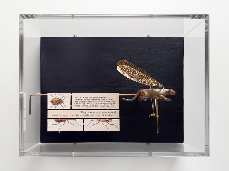 Jane Edden Tracker, 2019