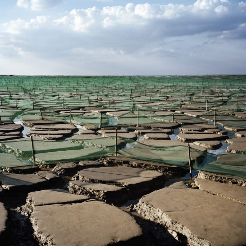 Jason Larkin Windbreakers, Soweto, Johannesburg, 2013
