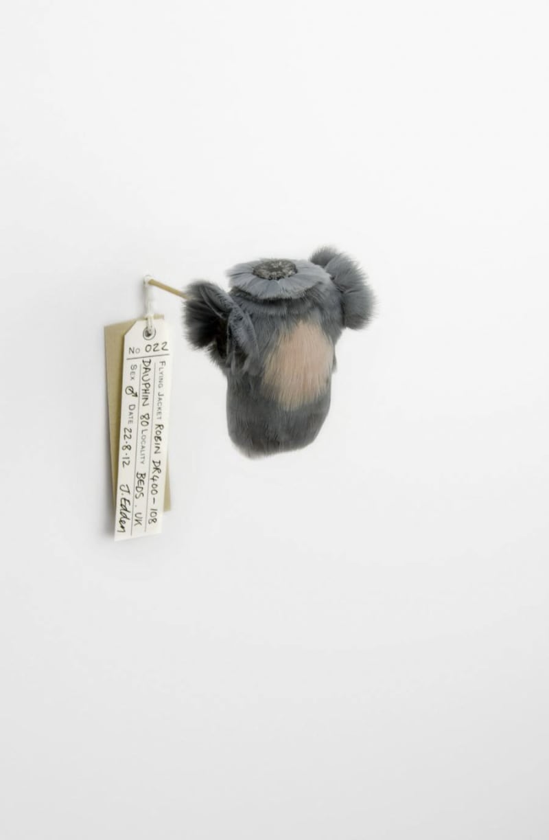 Jane Edden 22 Robin DR.400-108 Dauphin 80, 2012