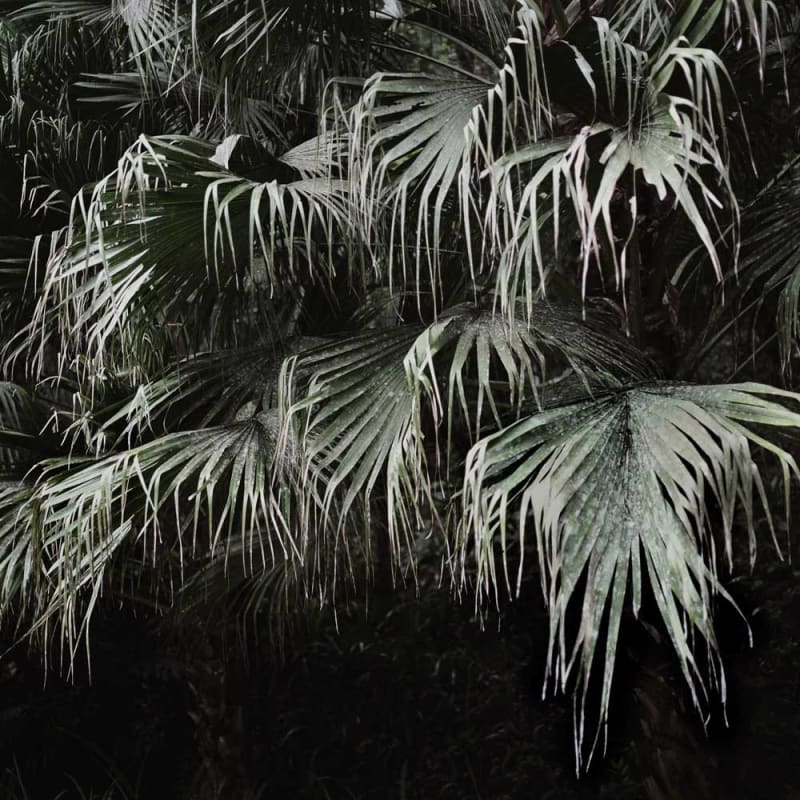 Mona Kuhn Winter, 2009