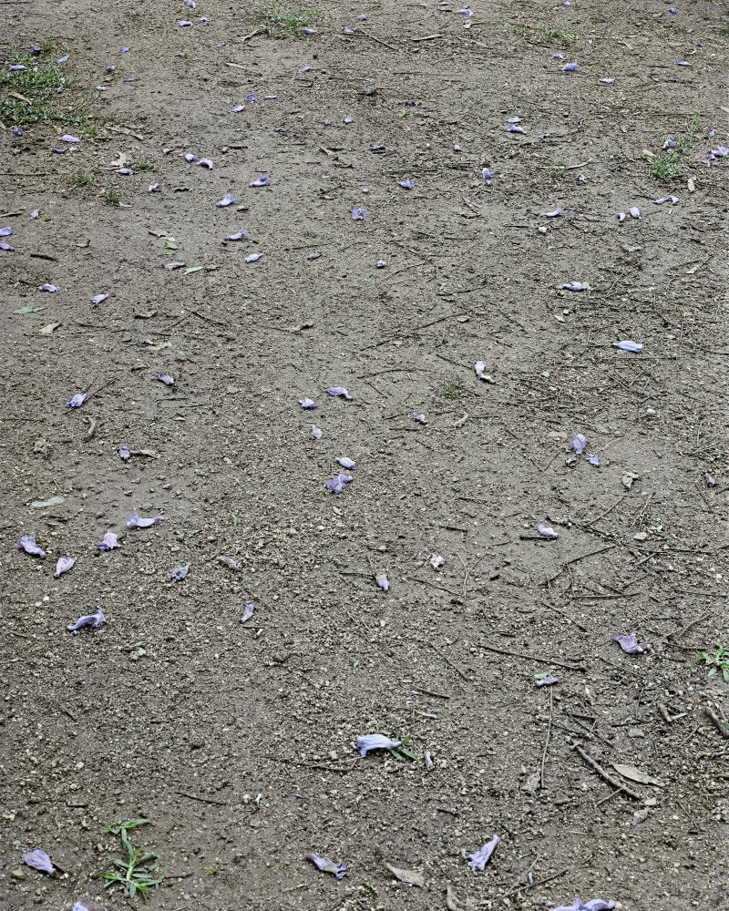 Janelle Lynch Ground 5 (Barcelona), 2011