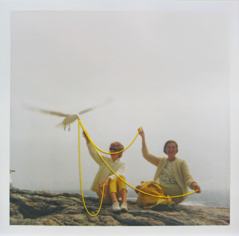 Julie Cockburn Feed the Birds (Women), 2019