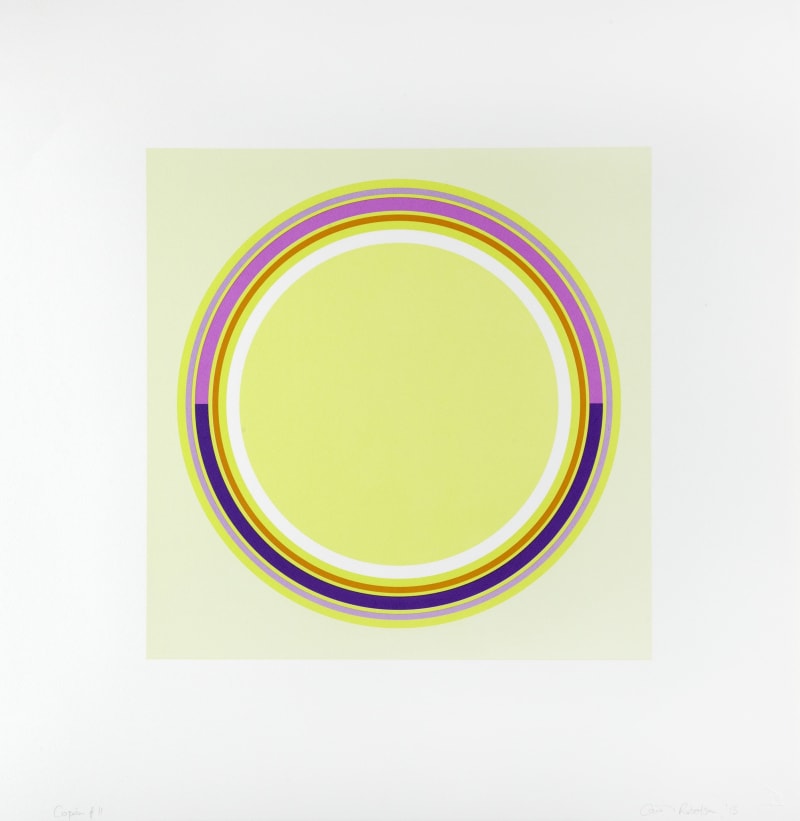 Carol Robertson Copán #11, 2015