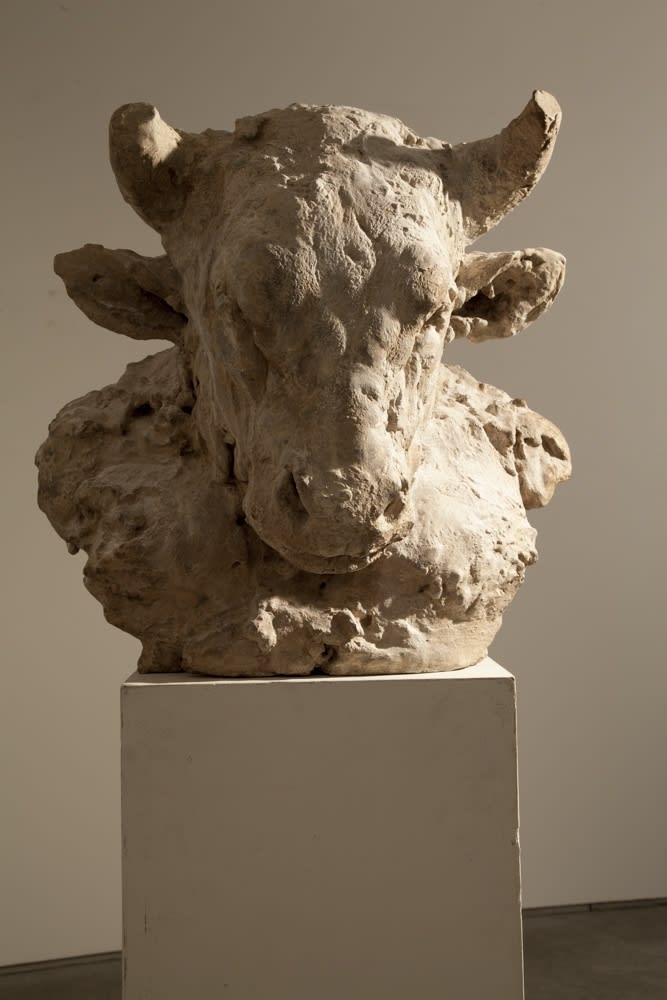 Nicola Hicks Relic, 2014