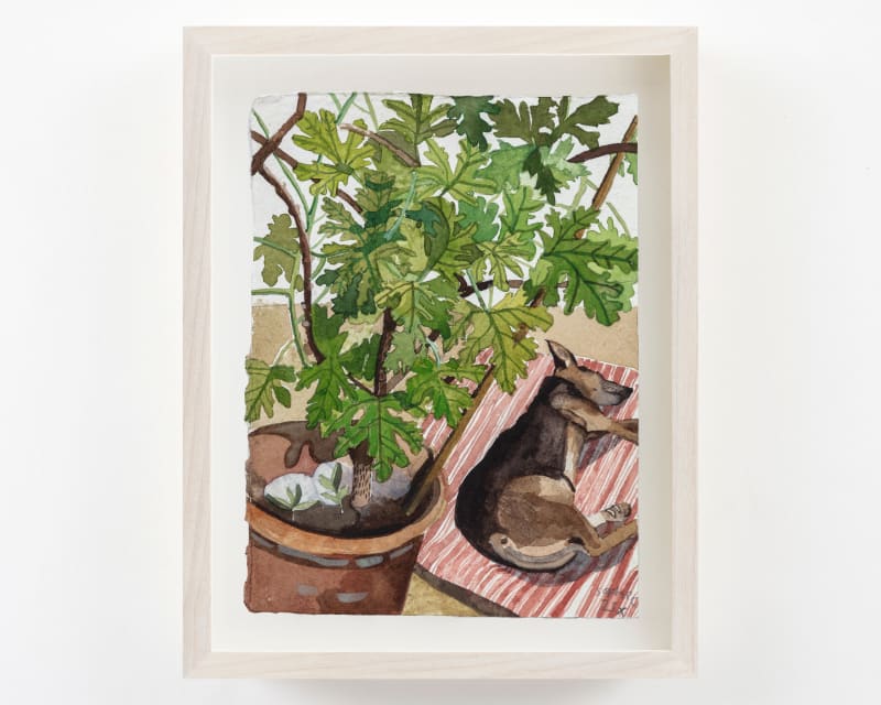 Sophie Charalambous Sleeping Theo 1, 2025