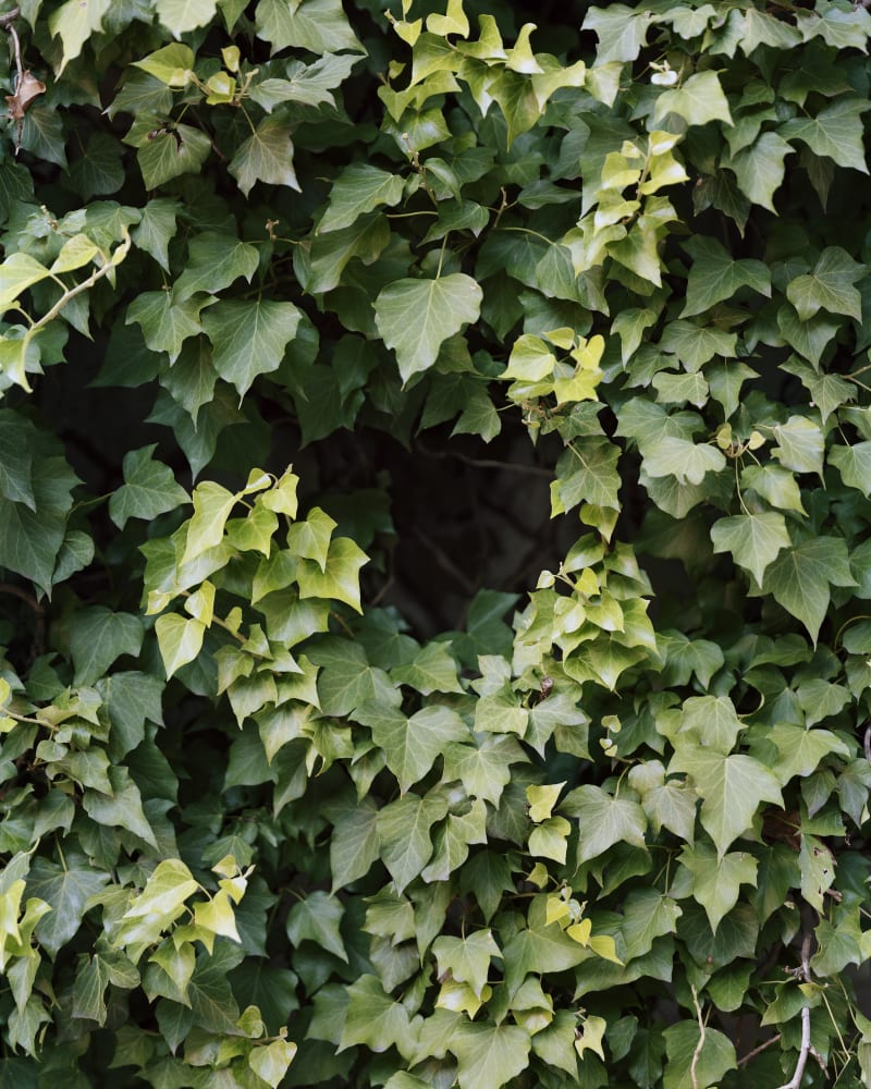 Janelle Lynch Another Universe, 2019