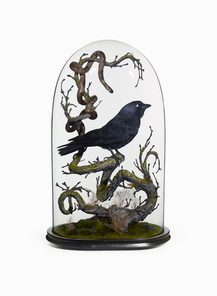 Nancy Fouts, The Crow and the Snake , 2013