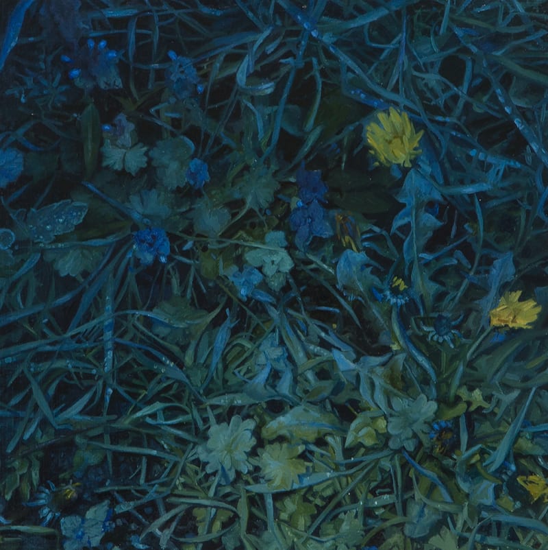 Aleah Chapin Taraxacum, 2017
