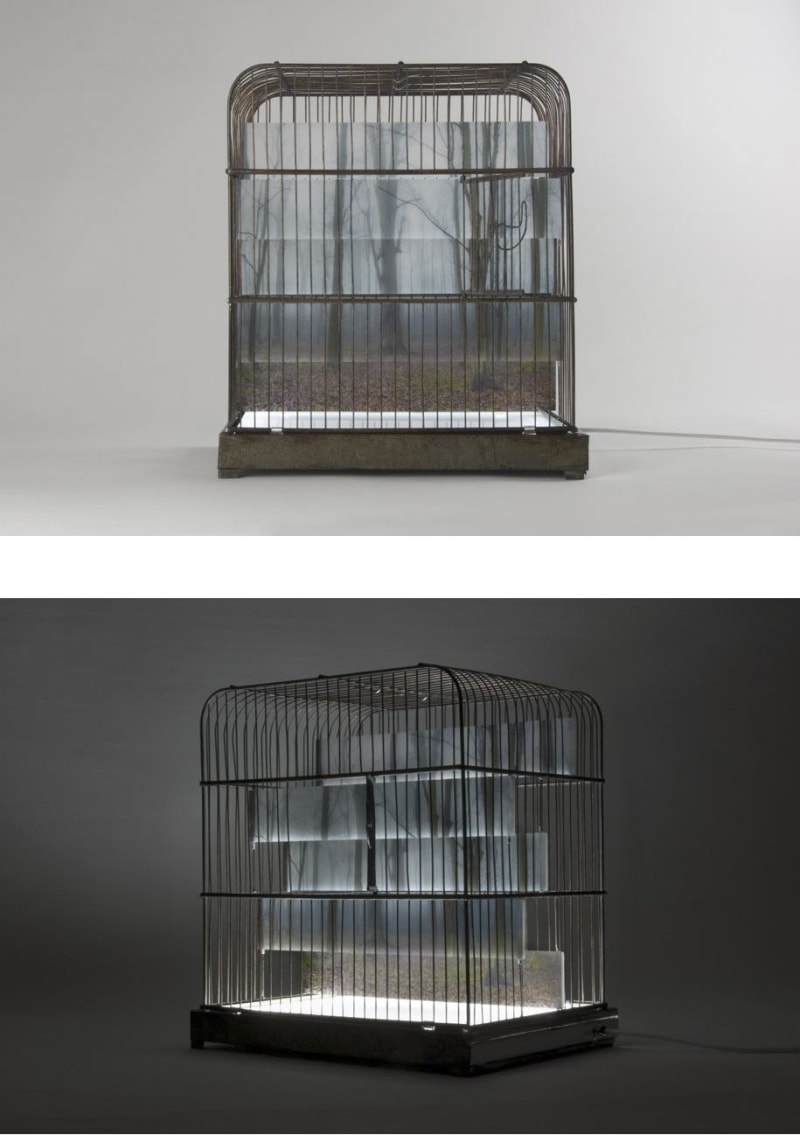 Jane Edden Woodland Cage, 2012